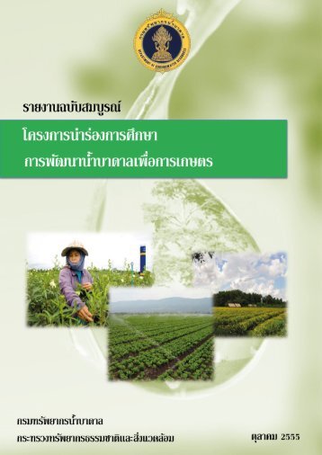 Final Report - à¸à¸£à¸¡à¸à¸£à¸±à¸à¸¢à¸²à¸à¸£à¸à¹à¸³à¸à¸²à¸à¸²à¸¥