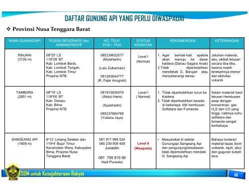 Buku Panduan Idul Fitri 2013 Sektor KESDM.pdf