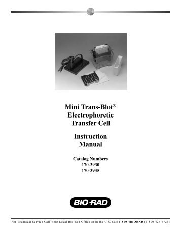Mini Trans-BlotÂ® Electrophoretic Transfer Cell Instruction Manual
