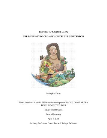 THE DIFFUSION OF ORGANIC AGRICULTURE IN ECUADOR by