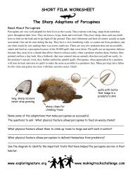 The Sharp Adaptions of Porcupines SHORT FILM ... - Exploring Nature