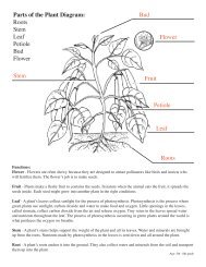 Parts of the Plant Diagram: Roots Stem Leaf ... - Exploring Nature