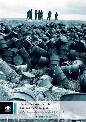 2 - Sustainlabour