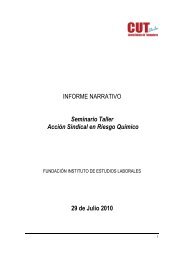 INFORME NARRATIVO Seminario Taller AcciÃ³n ... - Sustainlabour