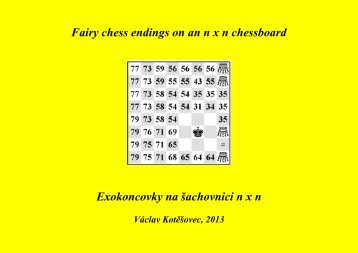 Fairy chess endings on an n x n chessboard