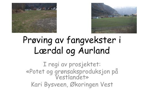 Oppsumering fangvekster LÃ¦rdal og Aurland