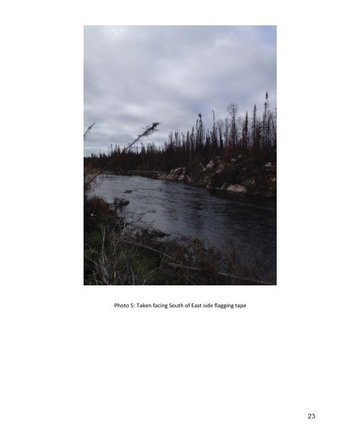 Revised Final Environmental Study Report (24 MB) - Gold Canyon ...