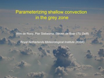 Moist Convection Parameterizations in the Grey Zone
