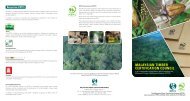 MTCC Corporate Brochure Download 1.13MB - Malaysian Timber ...