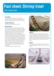 Fact sheet: Shrimp trawl