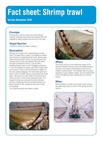 Fact sheet: Shrimp trawl