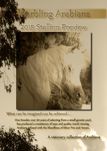 marbling arabians 2015 Stallion Preview