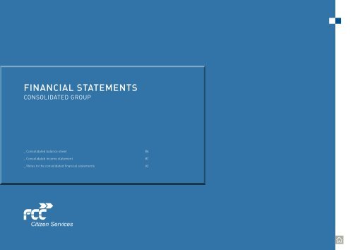 Financial Statements Fcc