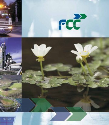Complete Annual Report - FCC