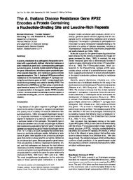 The A. thaliana Disease Resistance Gene RPS2 ... - Ausubel Lab