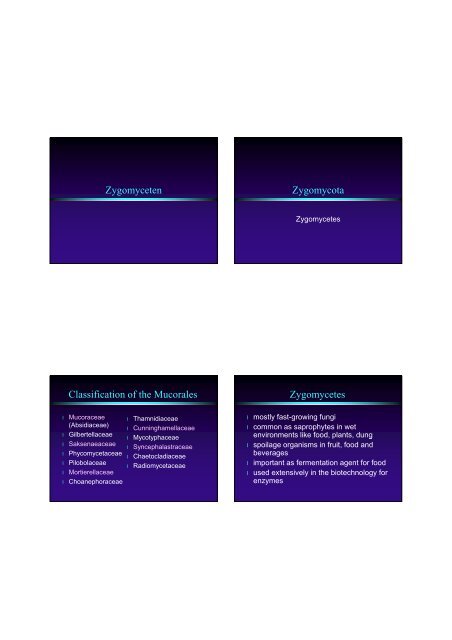 Zygomyceten Zygomycota Classification of the Mucorales - CBS