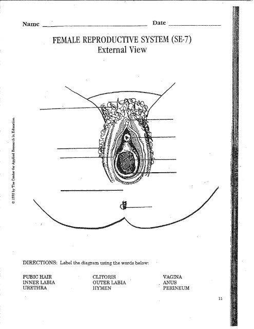 FEMALE REPRODUCTIVE SYSTEM &amp;#40;SE-7&amp;#41; External View