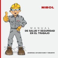 Manual de Seguridad y Salud - Nibol