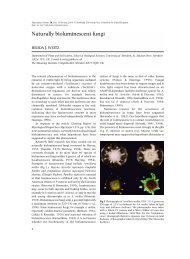 Naturally bioluminescent fungi - Cambridge Journals