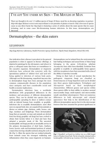 Dermatophytes - the skin eaters - Cambridge Journals