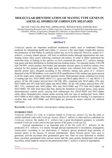 Molecular identification of mating type genes in asexual spores of ...