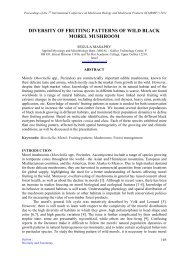 Diversity of fruiting patterns of wild black morel mushroom. Segula ...