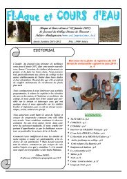 Journal NÂ°11 - CollÃ¨ge FranÃ§ais de TulÃ©ar