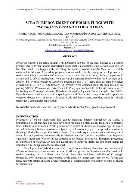 Strain improvement of edible fungi with Pleurotus eryngii ...