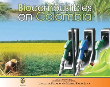 Biocombustibles en Colombia. - Unidad de PlaneaciÃ³n Minero ...