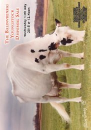 BALINVRENSIG YOUNGSTOCK DISPERSAL SALE