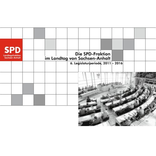 Die SPD-Fraktion im Landtag von Sachsen-Anhalt, 6. Legislaturperiode 2011-2016