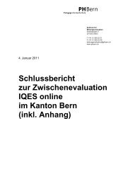 IQES online Zwischenevaluation Schlussbericht