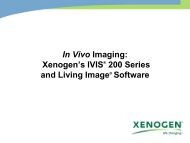 Xenogen IVIS-200 presentation