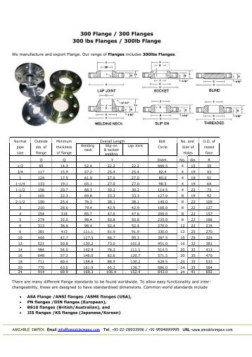 300 Flange / 300 Flanges - Amiable Impex
