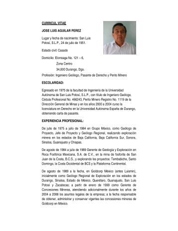 ing. jose luis aguilar pÃ©rez - AsociaciÃ³n de Ingenieros de Minas ...