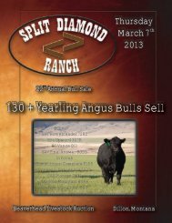 22nd Annual Bull Sale (PDF: 5.4 MB) - Ballyhoo Printing