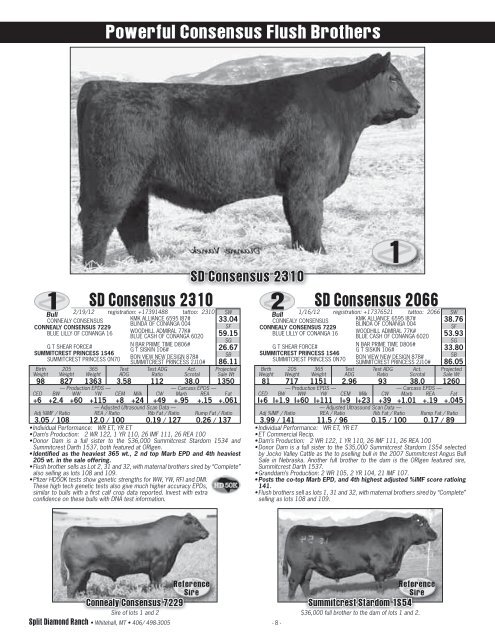 22nd Annual Bull Sale (PDF: 5.4 MB) - Ballyhoo Printing