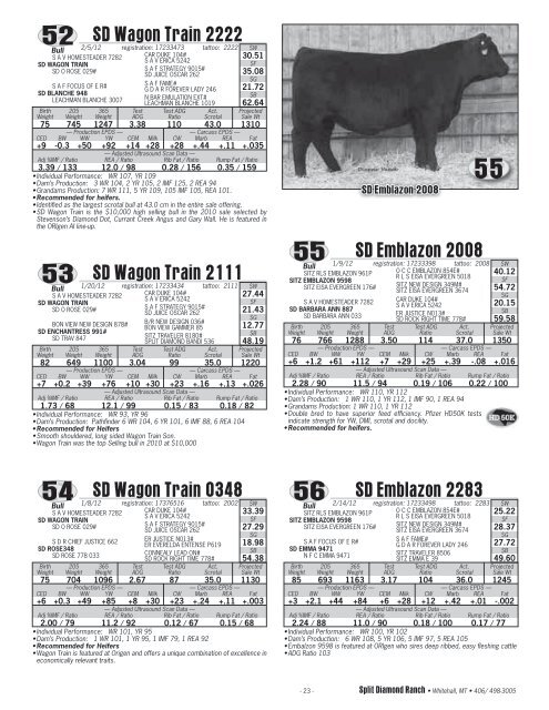 22nd Annual Bull Sale (PDF: 5.4 MB) - Ballyhoo Printing