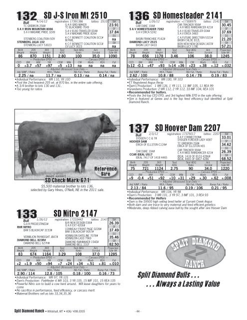 22nd Annual Bull Sale (PDF: 5.4 MB) - Ballyhoo Printing