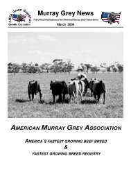 March 2006 - American Murray Grey Association