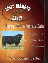 Over 160 Angus Sell Over 160 Angus Sell - Split Diamond Ranch!