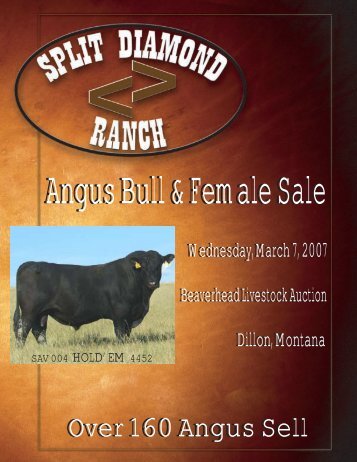 Over 160 Angus Sell Over 160 Angus Sell - Split Diamond Ranch!