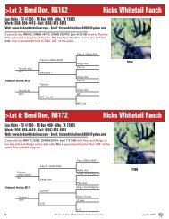 Hcks Auction 0408 - Texas Deer Association