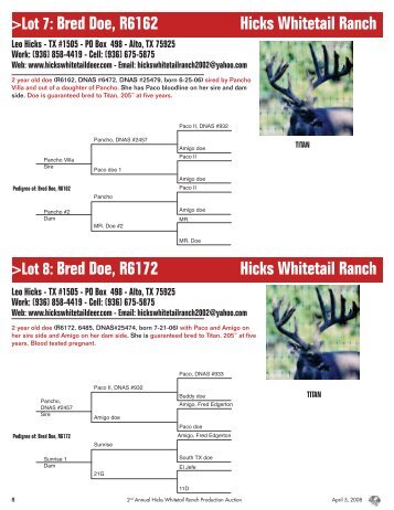 Hcks Auction 0408 - Texas Deer Association
