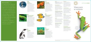 Mapa para el visitante - California Academy of  Sciences