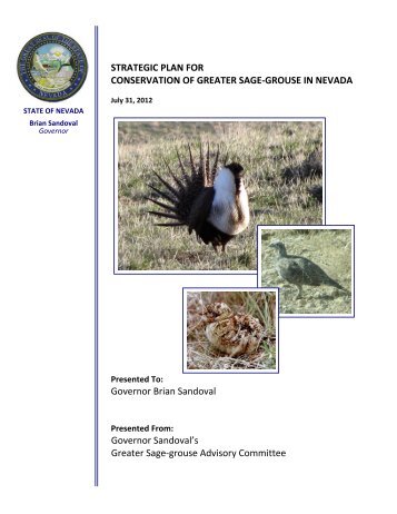 nevada sage-grouse plan - Nevada Sagebrush Ecosystem Program