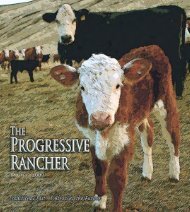 March 2009 Progressive Rancher - The Progressive Rancher ...