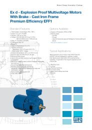 Ex d - Explosion Proof Multivoltage Motors With Brake - Cast Iron ...