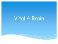Vital 4 Brain