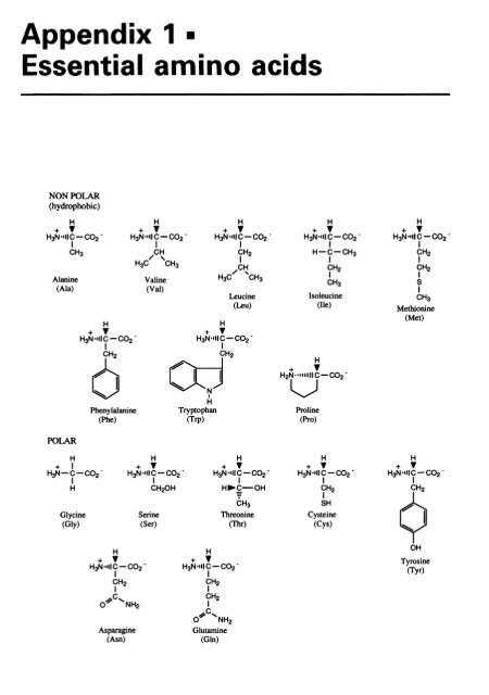 An Introduction to Medicinal Chemistry